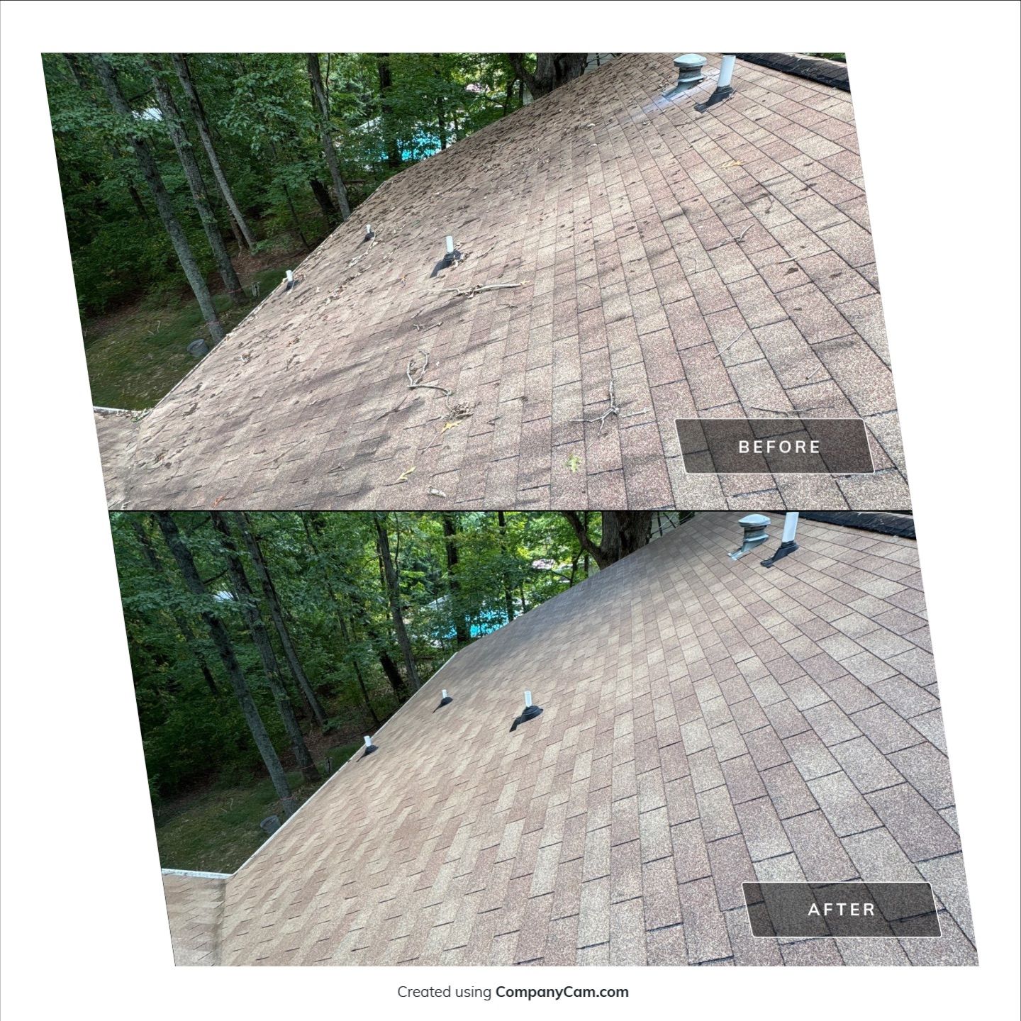 Before and after roof soft washing by Curb Appeal